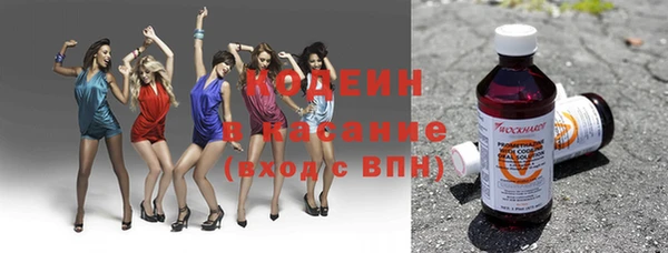 шишки Лагань