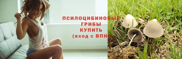 ешки Лиски