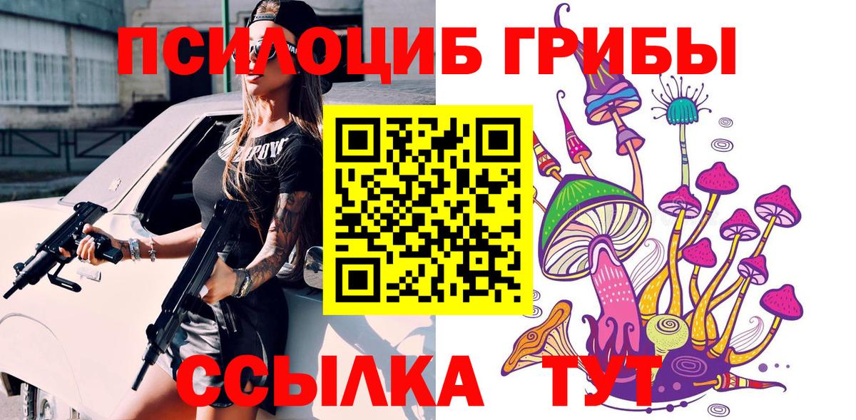 Псилоцибиновые грибы Cubensis  Псилоцибиновые грибы прущие грибы  Димитровград 