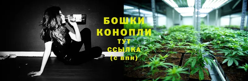 blacksprut сайт  Димитровград  Бошки марихуана Ganja 