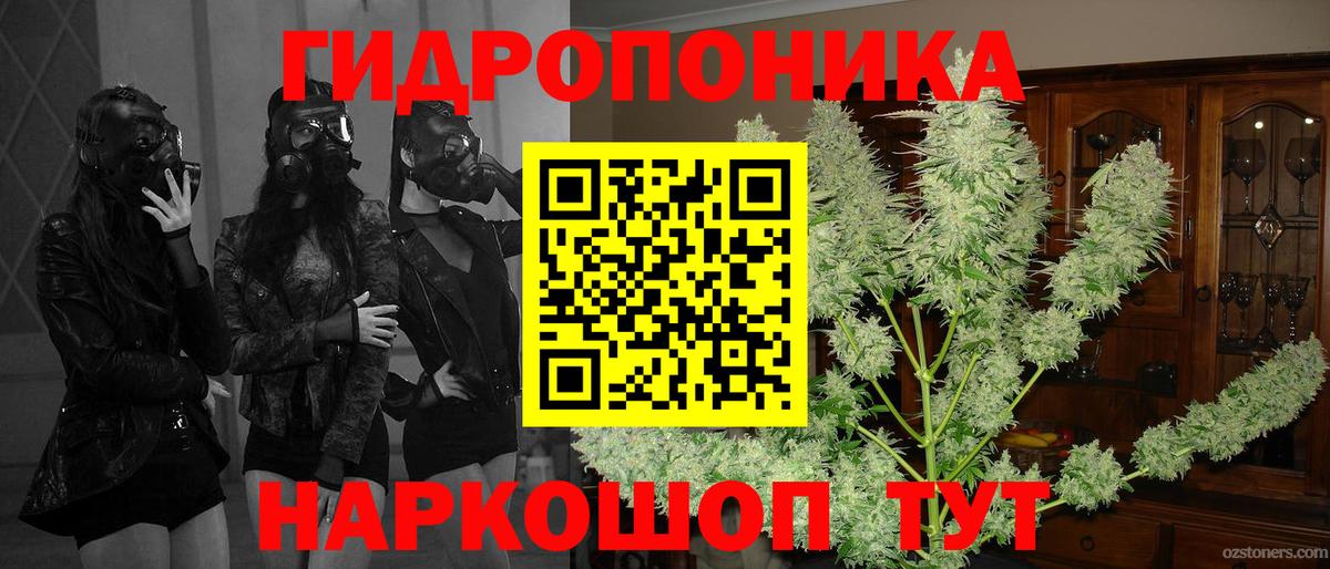 Канабис сатива Димитровград